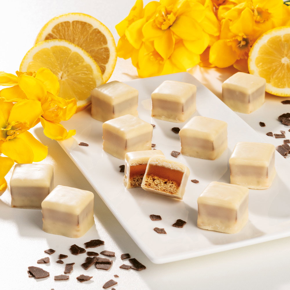 Frühlings-Dominosteine Zitrone 2er-Set