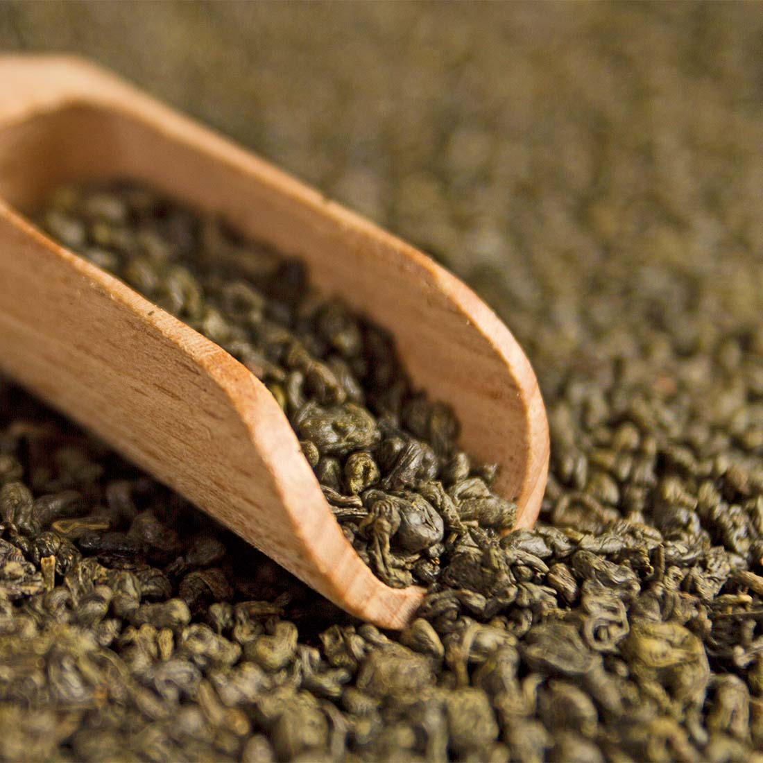 Schrader Grüner Tee China Pinhead Gunpowder Bio