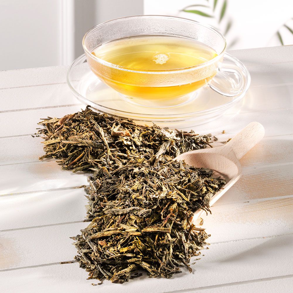 Schrader Grüner Tee Japan Bancha Bio