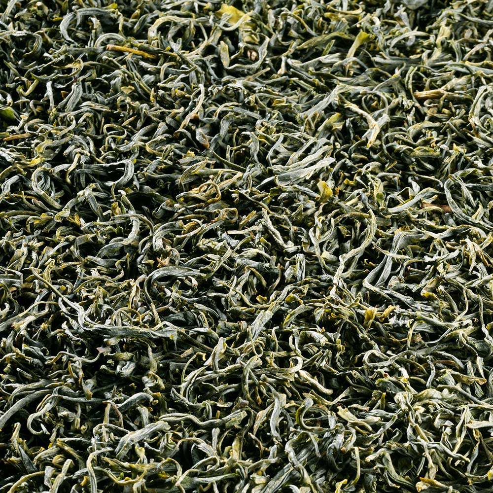 Schrader Grüner Tee China Mao Feng Qingshan Bio