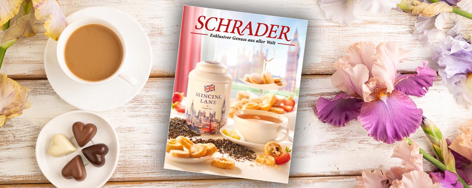 start-3er-katalog-fruehjahr-2026