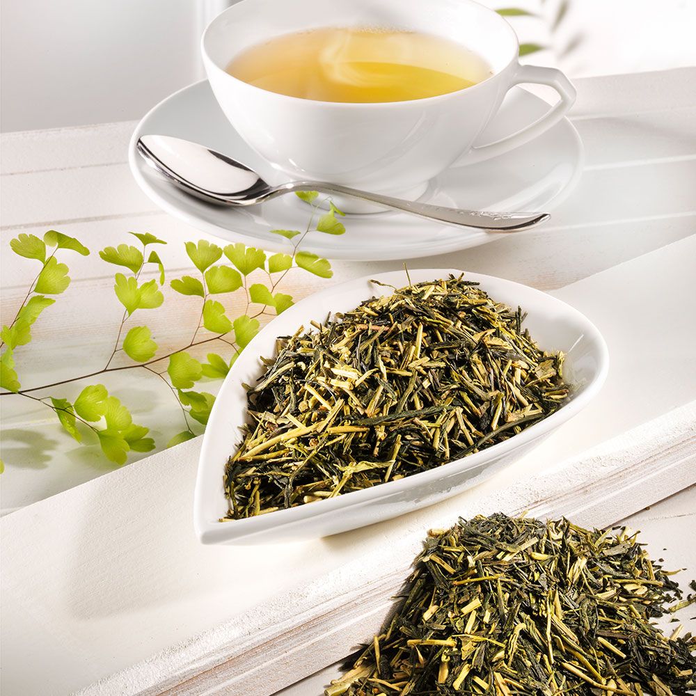 Schrader Grüner Tee Japan Kirishima Kukicha Bio