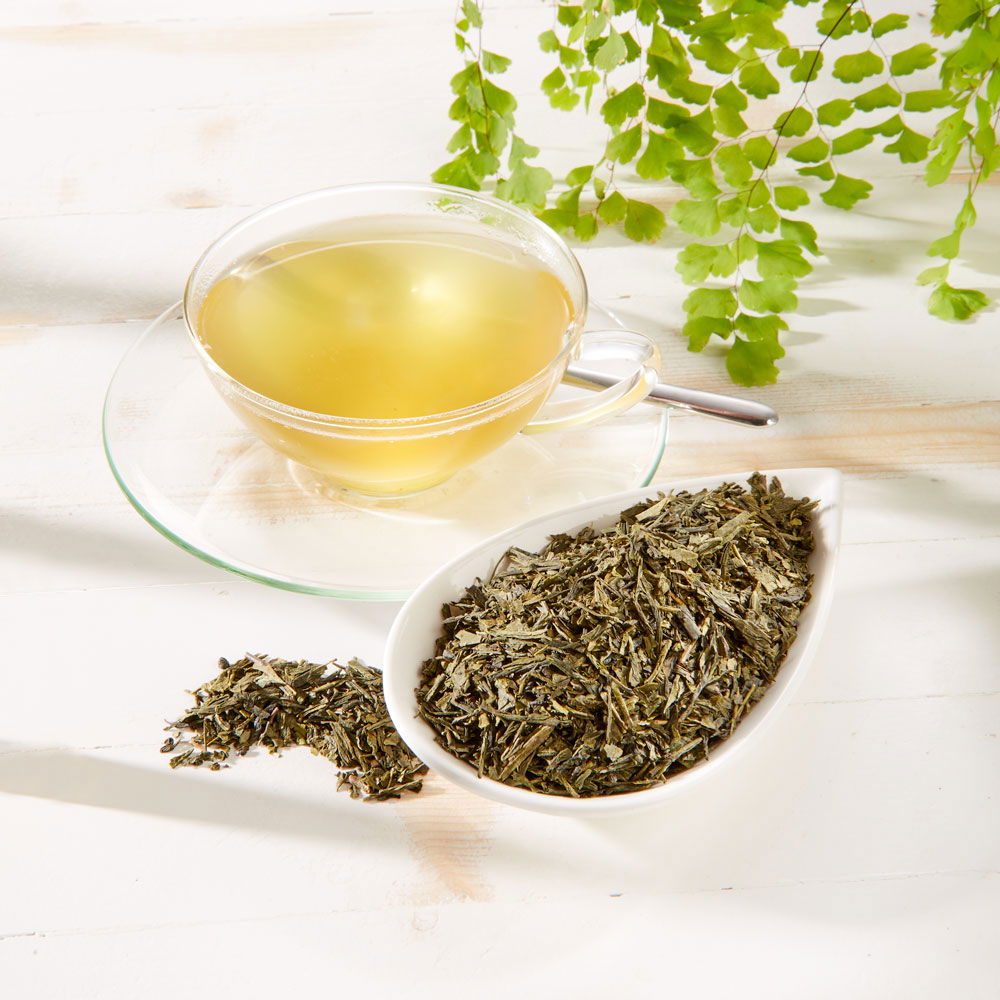 Schrader Grüner Tee Japan Bancha Bio
