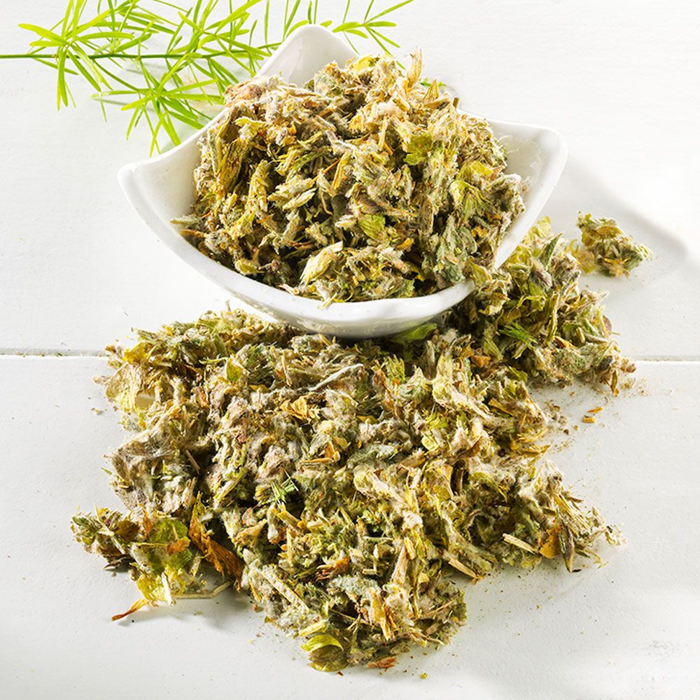 Schrader Kräutertee Griechische Bergkräuter