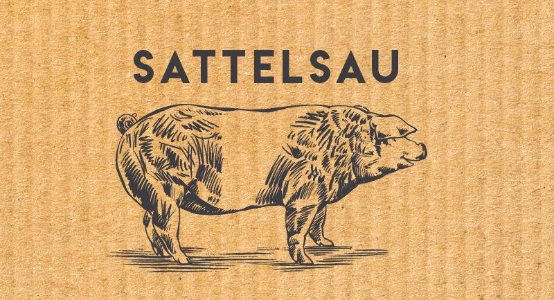 Sattelsau