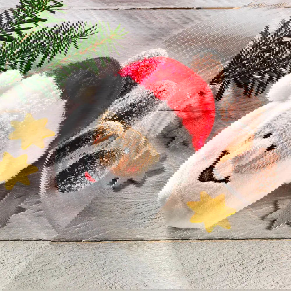 Rabbel Pralinen in Weihnachtsmanntäschchen