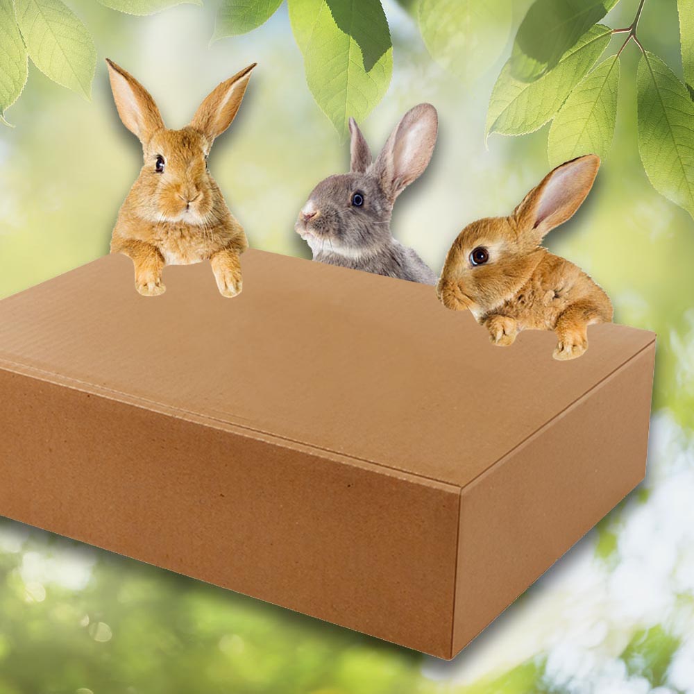 Überraschungspaket Ostern