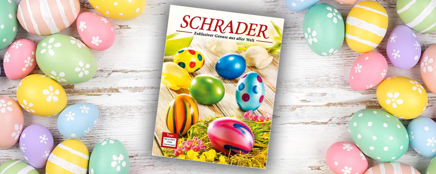start-3er-katalog-ostern-2026