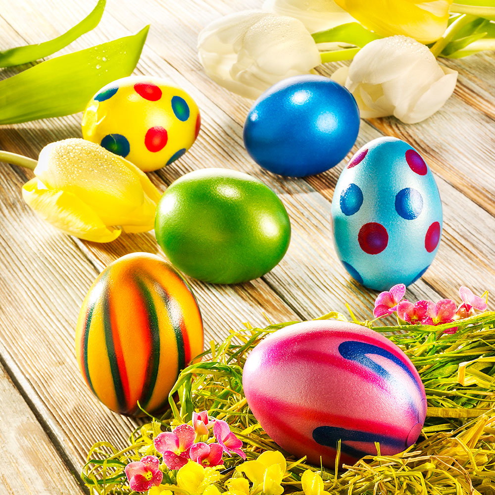 Nougateier in echter Eierschale