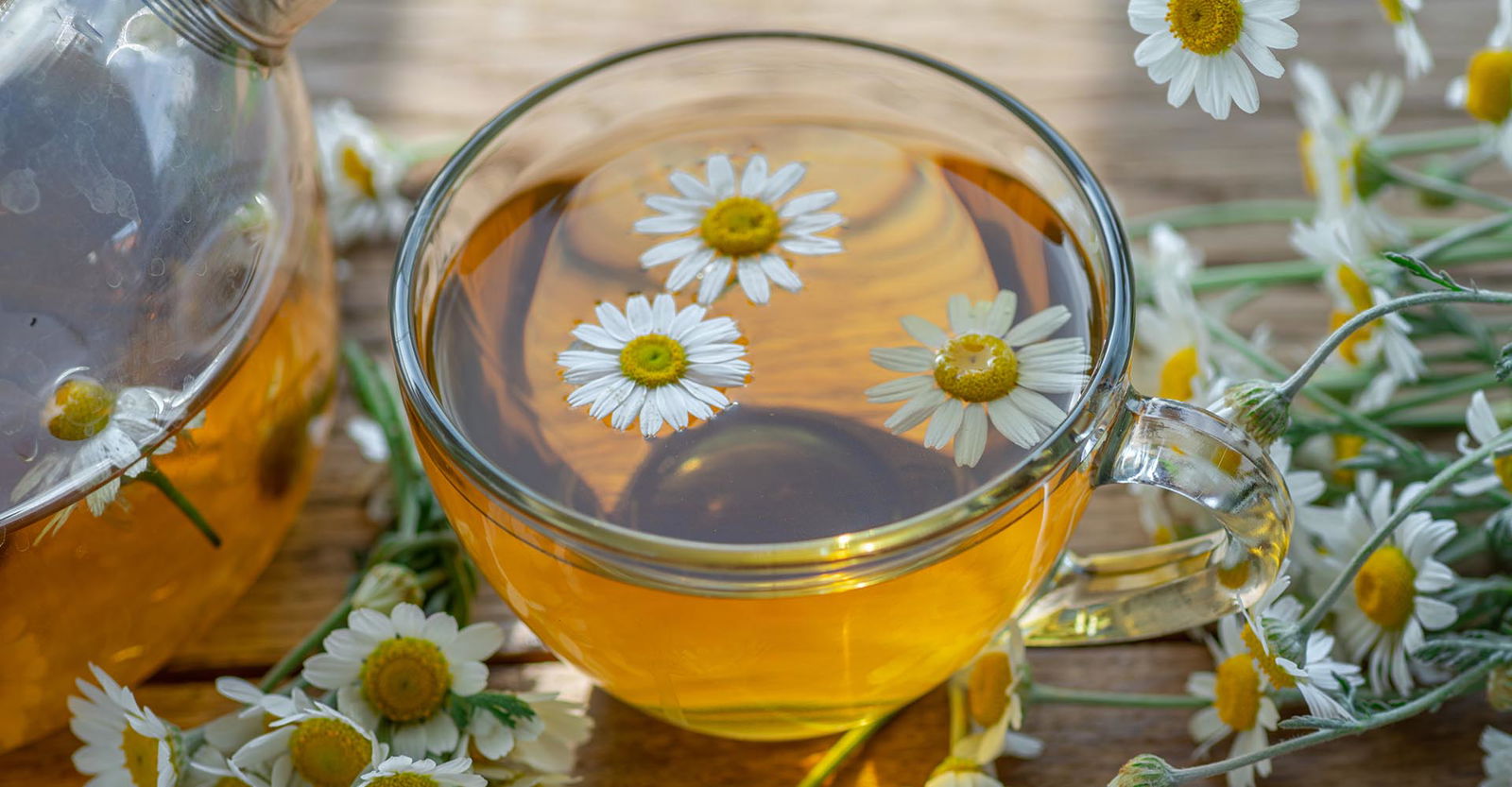 Fertiggerichte | Lecker wie selbstgemacht | Online kaufen Fertiggerichte | Lecker wie selbstgemacht | Online kaufen