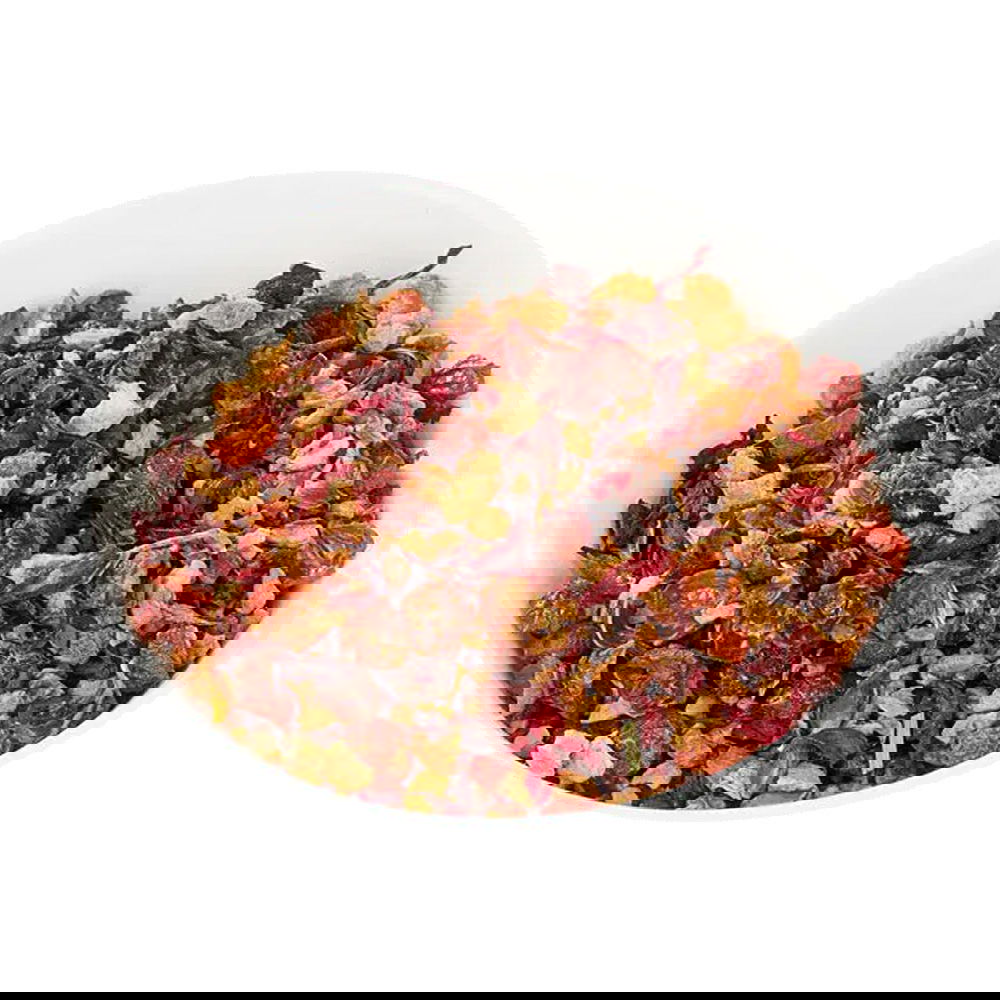 Schrader Früchtetee Winterzauber Bio