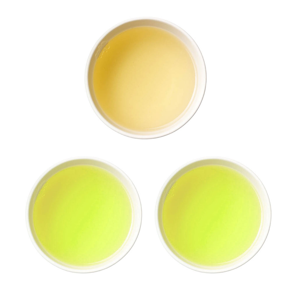 Schrader Grüner Tee China Grünteevielfalt-Sortiment Bio