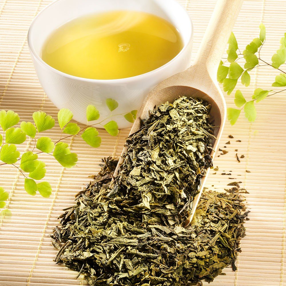 Grüner Tee Japan Bancha Superior Bio