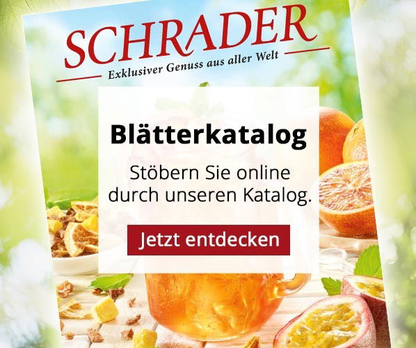 media/image/start-3er-katalog-sommer-2025.jpg