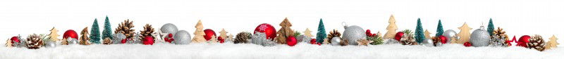 media/image/weihnachten-tannen.jpg