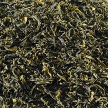 Schrader Grüner Tee China Nebeltee Bio