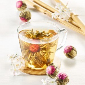 Schrader Teekugeln Grüner Tee China Jasmine Red Peach
