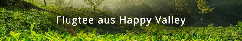 media/image/flugtee-header-happy-valley.jpg