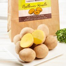 Landgut Bollen Kartoffeln Belmonda
